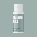 Barwnik spożywczy do mas tłustych Colour Mill 20ml Eucalyptus