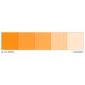 Colour Mill 20ml Mango