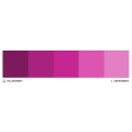 Colour Mill 20ml Fuchsia