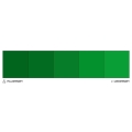 Colour Mill 20ml Forest
