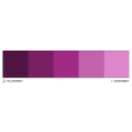 Colour Mill 20ml Grape