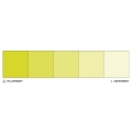 Colour Mill 20ml Kiwi