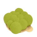Zastosowanie barwnika w sprayu Velvet Lime Green
