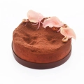 Botanical Decor Cacao 20-22%