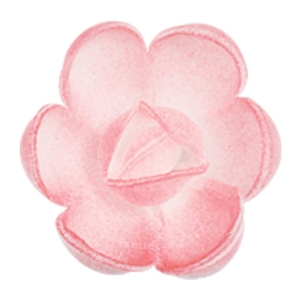 Waflowa Róża angielska Różowa cieniowana mała 70szt