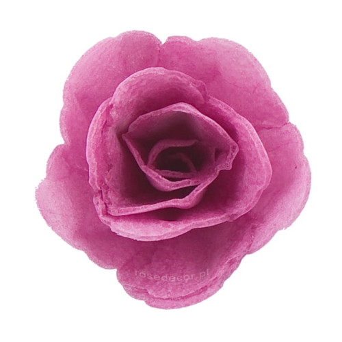 Kwiaty waflowe na tort Róża Chińska Amarantowa mała 35szt