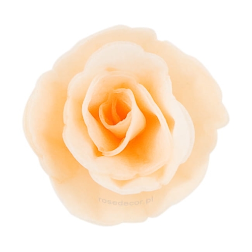 Kwiaty waflowe na tort Róża Chińska Kremowa mała 35szt
