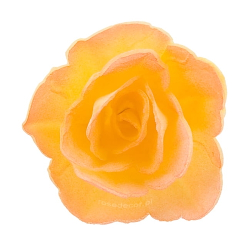 Waflowa Róża chińska Herbaciana cieniowana mała 35szt