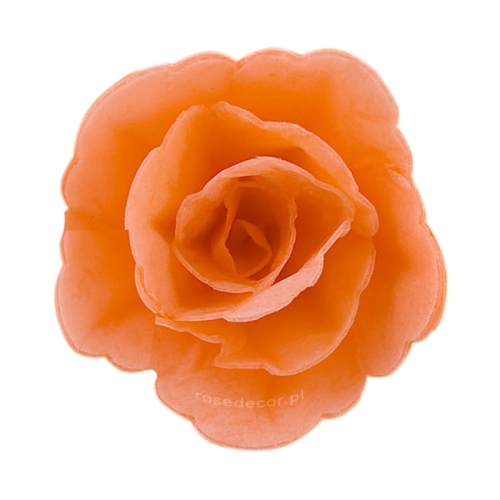 Kwiaty waflowe na tort Róża Chińska Łososiowa mała 35szt