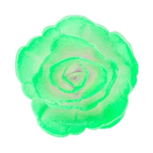 Waflowa Róża chińska Zielona cieniowana mała 35szt