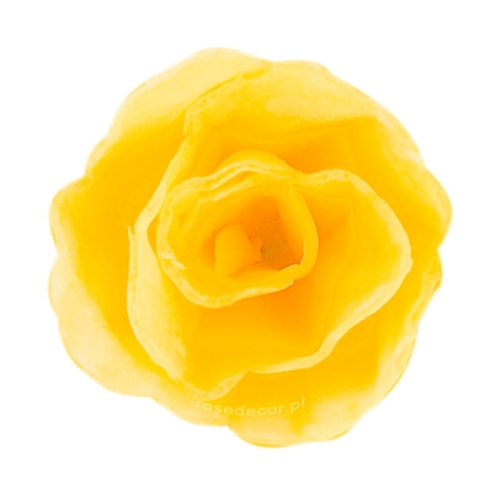 Kwiaty waflowe na tort Róża Chińska Żółta mała 35szt