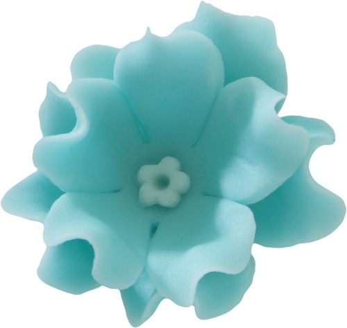 Lewkonia niebianski blekit p.jpg