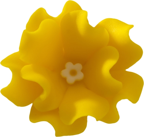 Lewkonia soczysta cytryna p.jpg