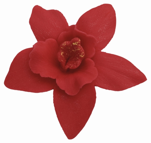 Storczyk duzy czerwony p.jpg