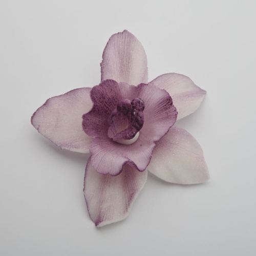 Storczyk duzy fioletowy p.jpg