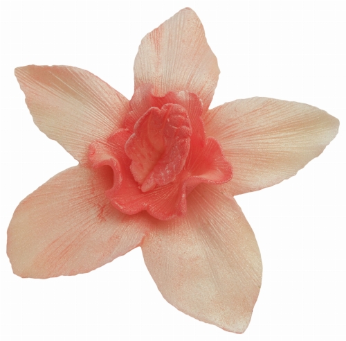 Storczyk duzy herbaciany p.jpg