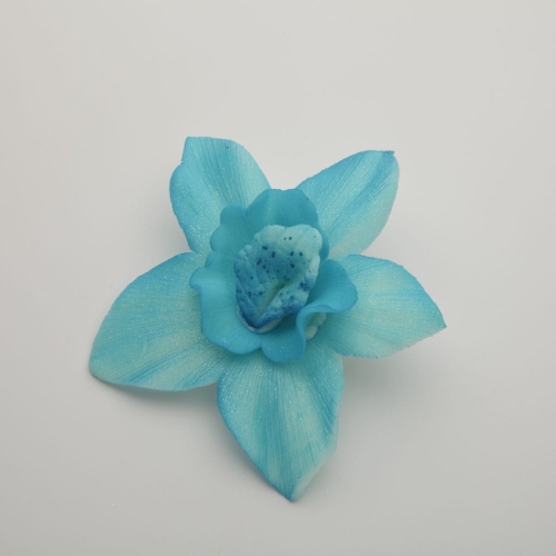 Storczyk duzy niebieski p.jpg