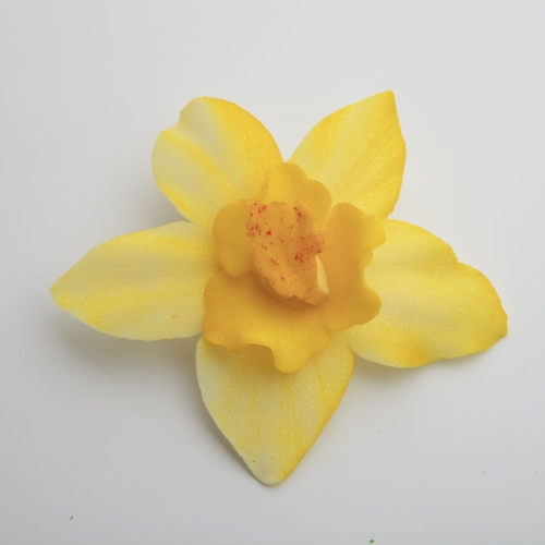 Storczyk duzy zolty p.jpg