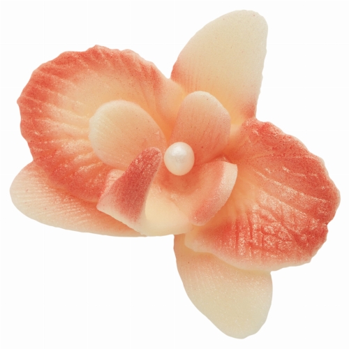 Storczyk maly herbaciany p.jpg