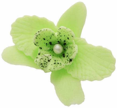 Storczyk maly pistacjowy p.jpg