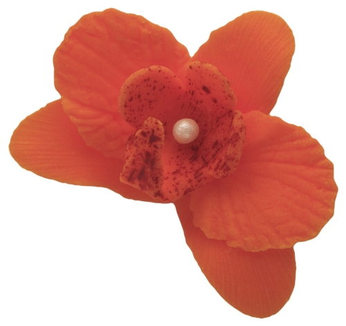 Storczyk maly pomaranczowy p.jpg