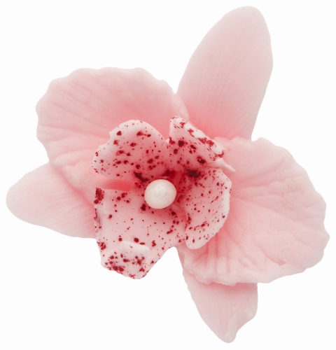 Storczyk maly rozowy p.jpg