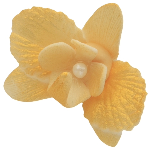 Storczyk maly zloty p.jpg