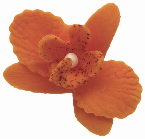 Storczyk maly zolty p.jpg