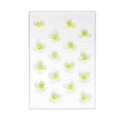 C-2900-zaw bialy clematis.jpg