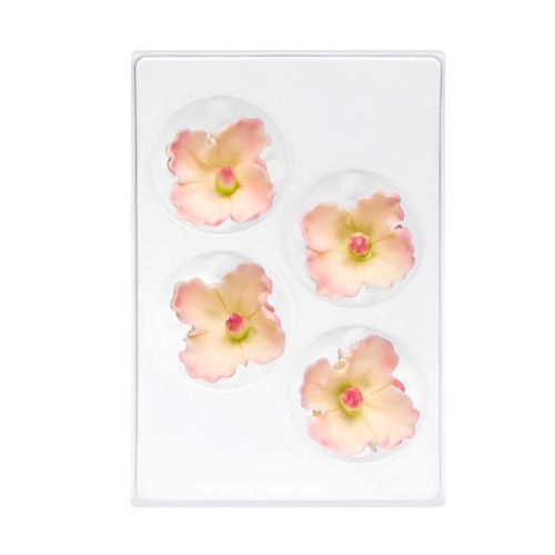 C-2306-zaw malwa ecru.jpg