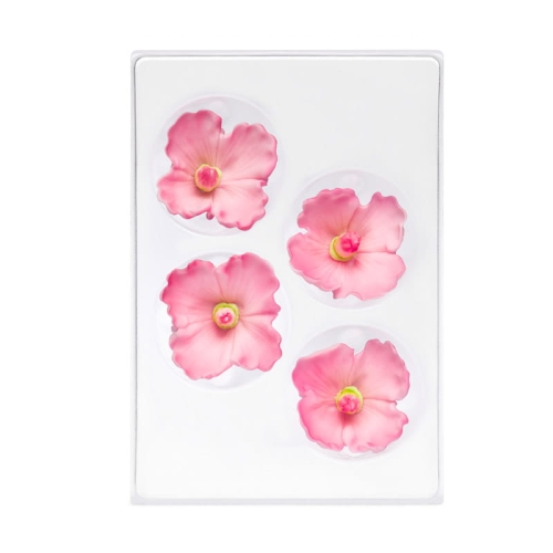 C-2303-zaw malwa rozowa.jpg