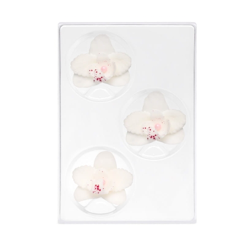 C-2400-zaw storczyk maly bialy.jpg