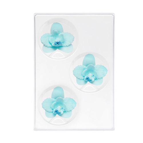 C-2404-zaw storczyk maly niebieski.jpg