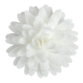 Kwiaty waflowe na tort Biała Stokrotka pomponikowa 12szt