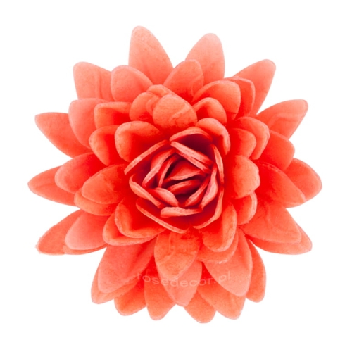 Astry kolorowe: kwiatki waflowe na tort