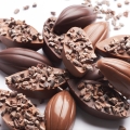 Belgijska gorzka czekolada Callebaut