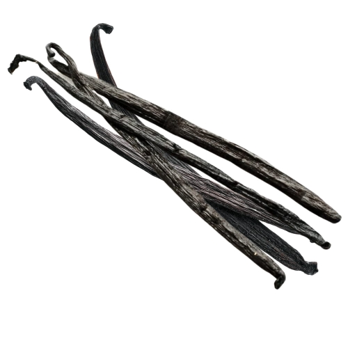 Laska wanilii Bourbon Gourmet z Madagaskaru 16-18cm 5szt