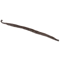 Laska wanilii Bourbon Gourmet z Madagaskaru 16-18cm