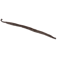 Laska wanilii Bourbon Gourmet z Madagaskaru 16-18cm