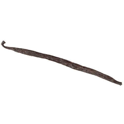 Laska wanilii Bourbon Gourmet z Madagaskaru 16-18cm